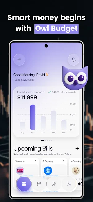 Owl Budget - Money Management Screenshot 0