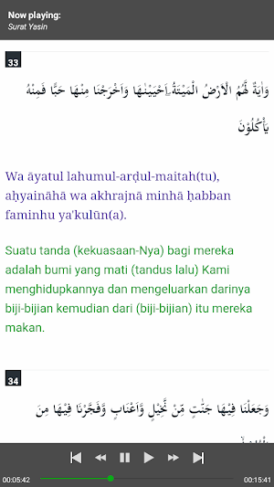 Yasin dan Tahlil (Audio Teks) Screenshot 2