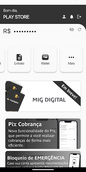 Mig Digital Screenshot 3