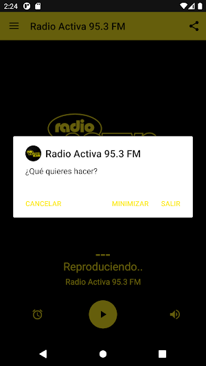 Radio Activa 95.3 FM - San Ignacio, Misiones Screenshot 2