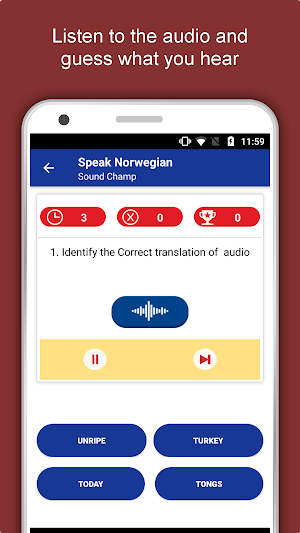 Speak Norwegian : Learn Norwegian Language Offline Screenshot 3