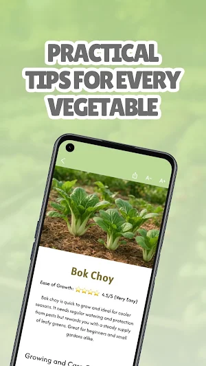 No Dig Vegetable Garden Screenshot 2