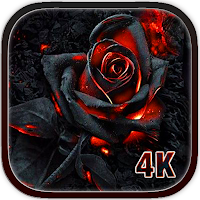 Black Flower Wallpaper