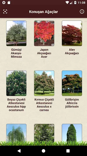 Konuşan Ağaç Screenshot 1