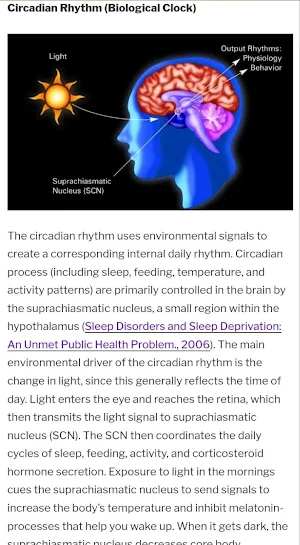 SleepBible: Perfect Sleep Screenshot 2