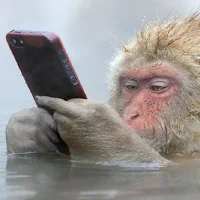 Funny and entertaining pics
