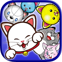 TUMU CAT
