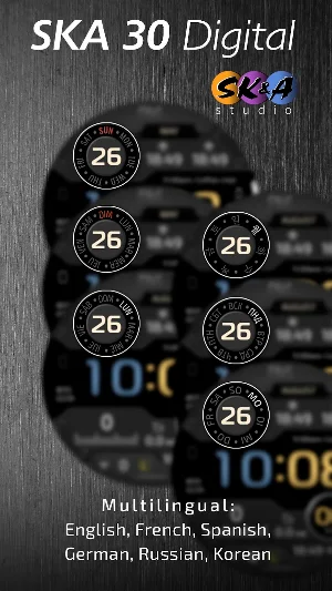 SKA 30 Digital Screenshot 1