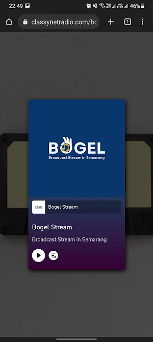 Bogel Stream Screenshot 0