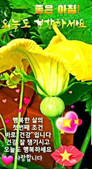 좋은 아침! Screenshot 3