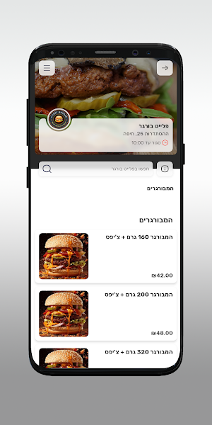 פלייט בורגר Screenshot 2