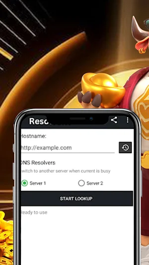 ResolverX Screenshot 0