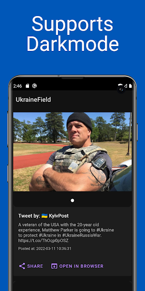 UkraineField Screenshot 2