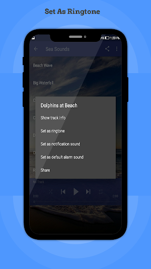Sea Sounds Screenshot 2