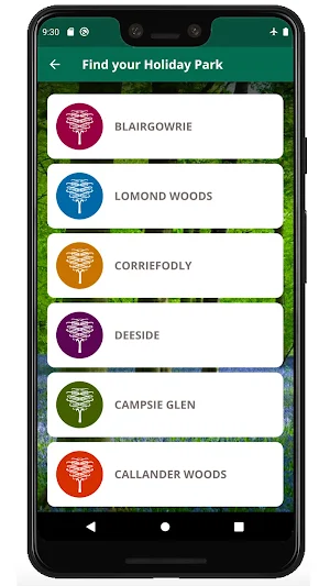 Wood Leisure Screenshot 1