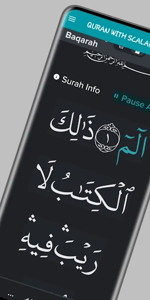QURAN WITH SCALABLE FONT SIZES Screenshot 0