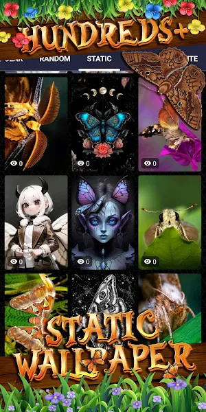 moth wallpaper Screenshot 3