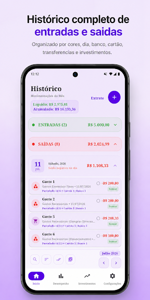 Finances Balance WP Screenshot 1