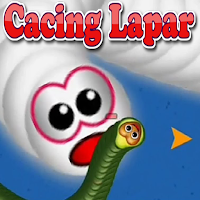 WORM ZONE : GAME CACING LAPAR