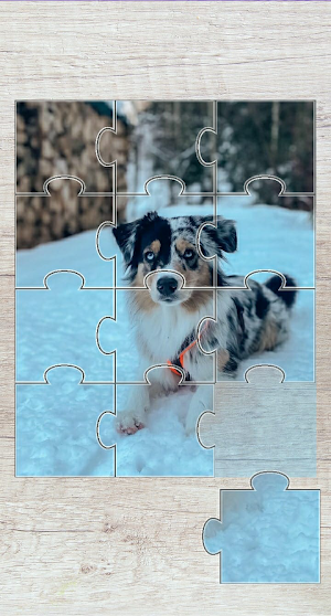 Dogs Jigsaw Puzzle Screenshot 3