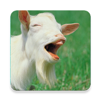 Domestic Goat Sounds ~ Sclip.a
