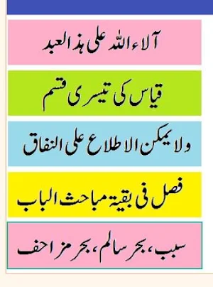 Alfauz ul Azeem Al Fauzul Kabeer Urdu Sharh Screenshot 0