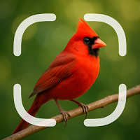 Bird Identifier