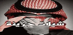 شيلات حزينة جدا بدون نت Screenshot 0