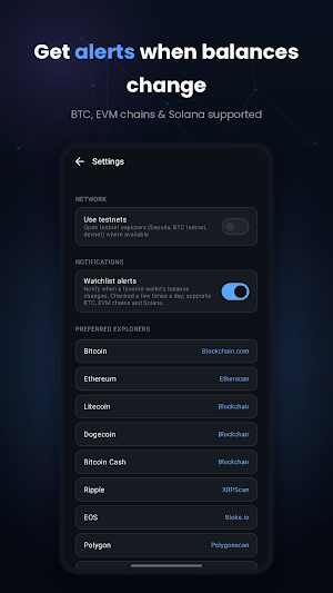 Blockchain Explorer Screenshot 3