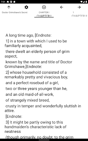 Book, Doctor Grimshawe's Secret Screenshot 3