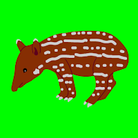 Enciclopedia Kakataibo