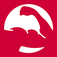 The SwissCoach