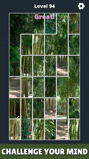 Jigsaw Puzzles: HD Brain Game Screenshot 3