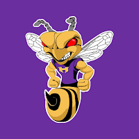 Hampton Hornets Athletics
