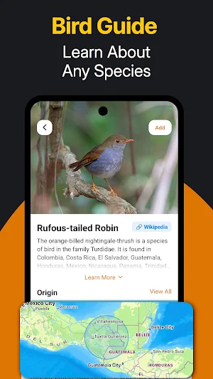 Bird Identifier: Species Guide Screenshot 1