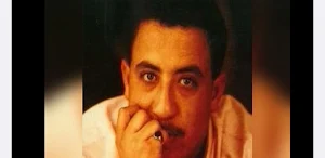 اغاني الشاب حسني   بدون نت Screenshot 1