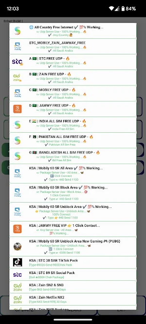 Skynet vpn UDP Screenshot 0