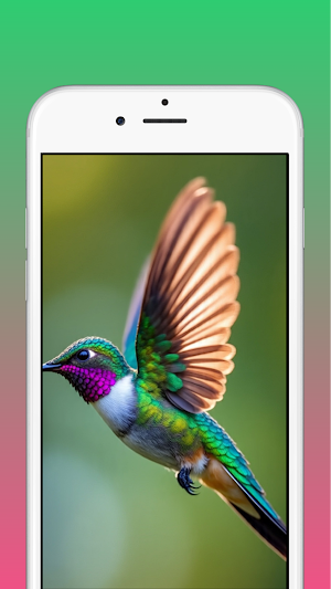 Hummingbird Wallpaper Screenshot 3