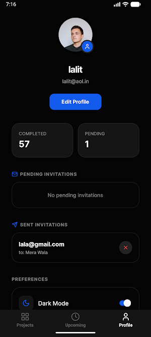Omnitask Screenshot 1