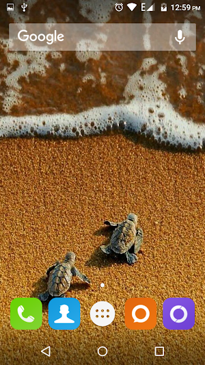 Turtle Wallpapers Hd Screenshot 0
