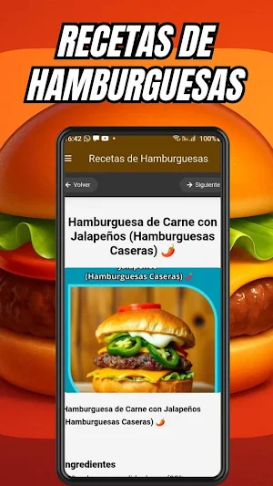 Recetas de Hamburguesas Screenshot 2