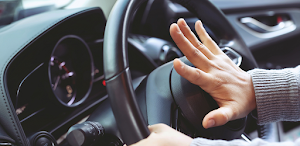 Car horn sounds all screenshot 2