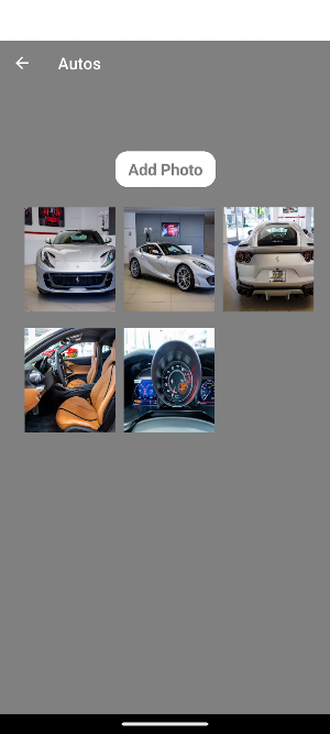 Automotive Ancestry Screenshot 3
