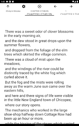 Book, Ethelyn's Mistake Screenshot 3