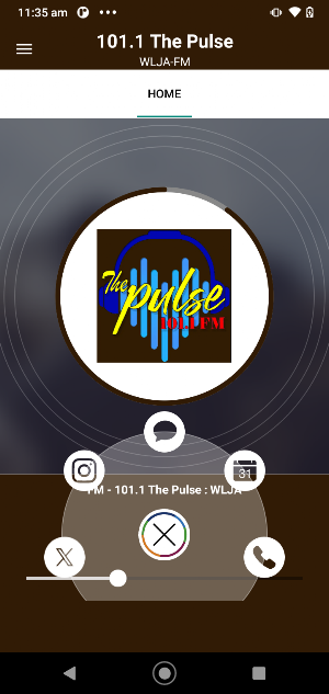 Pulse Radio Screenshot 1