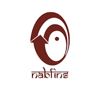 NABFINS FinMobile