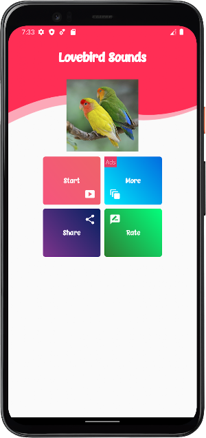 Lovebird Sounds Screenshot 0