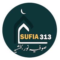 sofiya 313