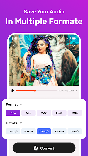 Video to Mp3 Converter Screenshot 1
