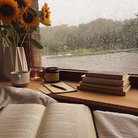 Rain Wallpapers
